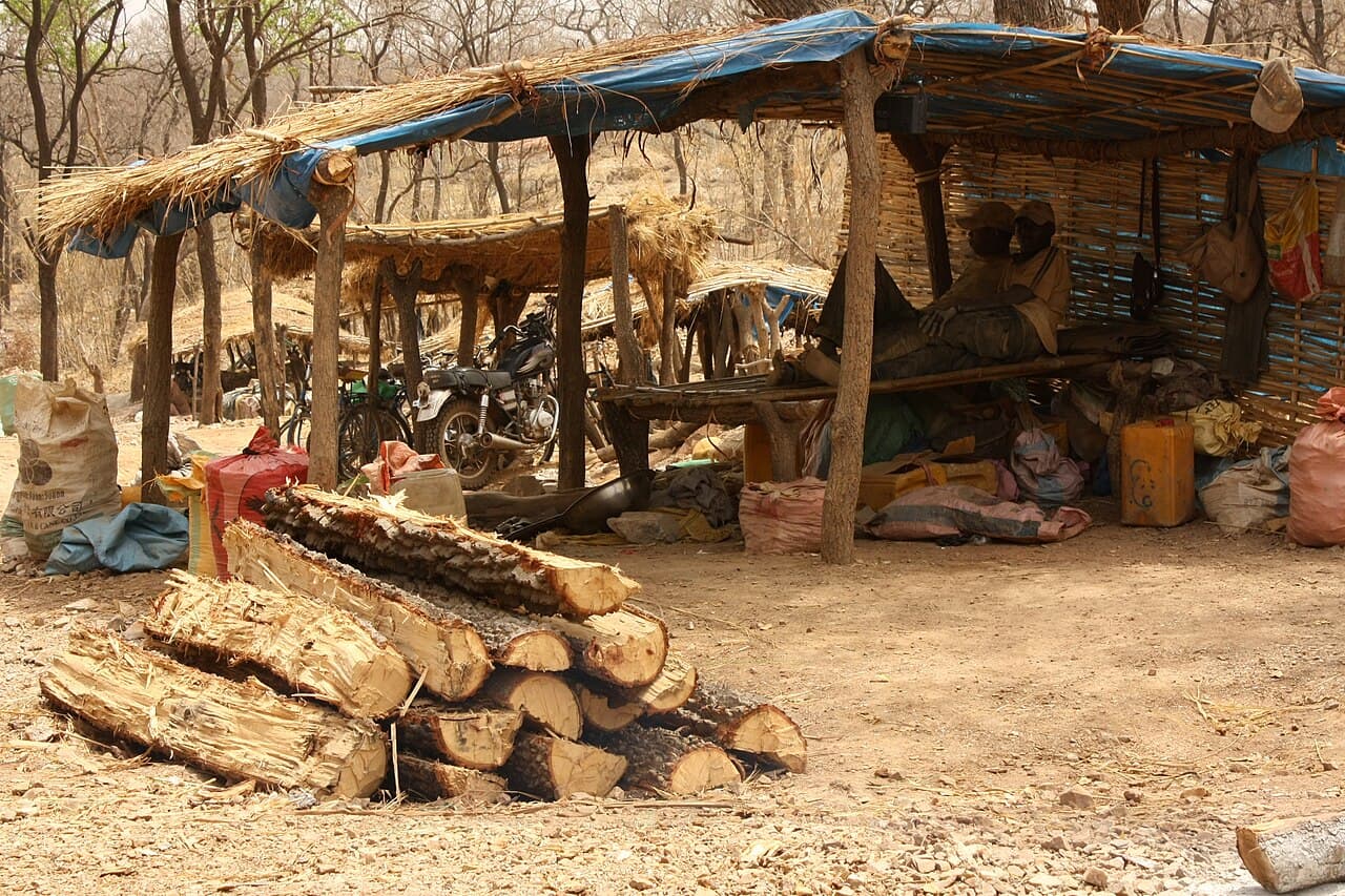 Orpaillage traditionnel