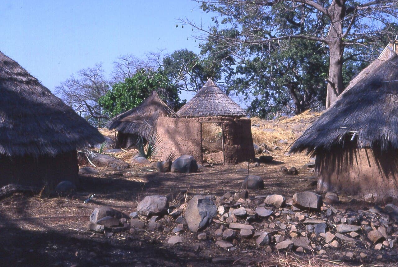Pays Bassari