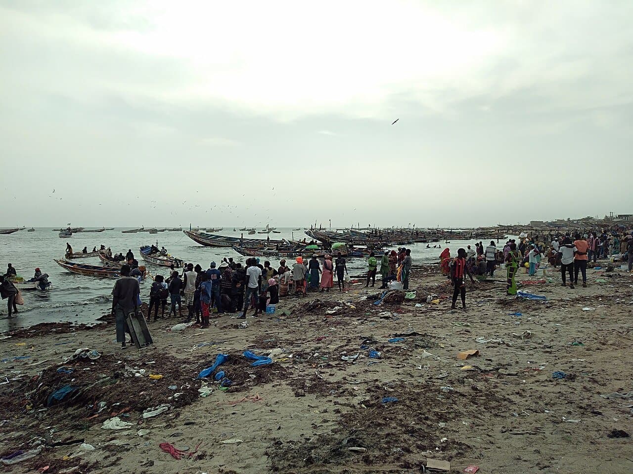Retour des pirogues au port de Mbour