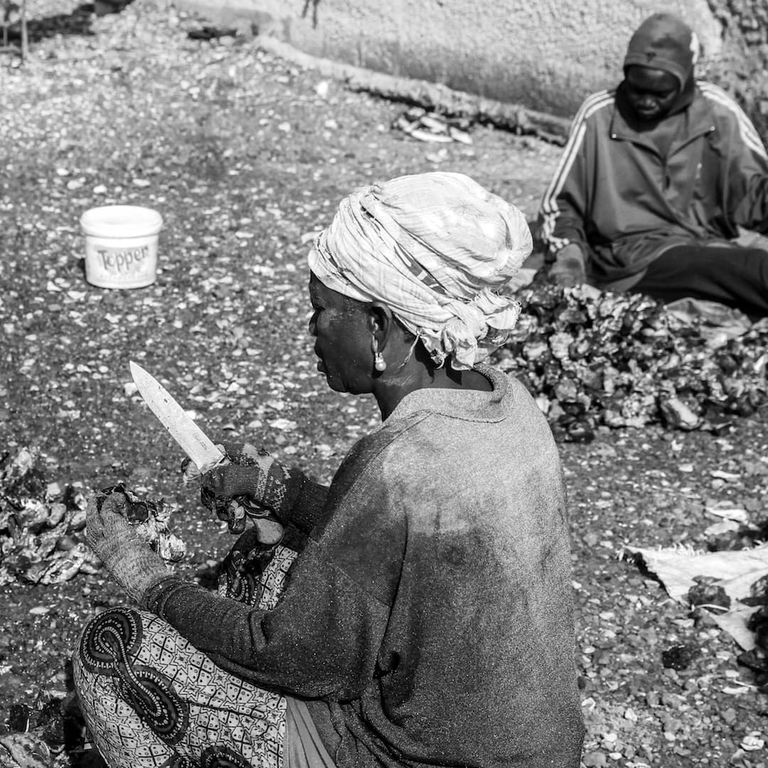 Cueillette des huîtres avec les femmes