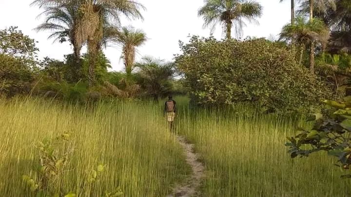 Parc national de Basse-Casamance