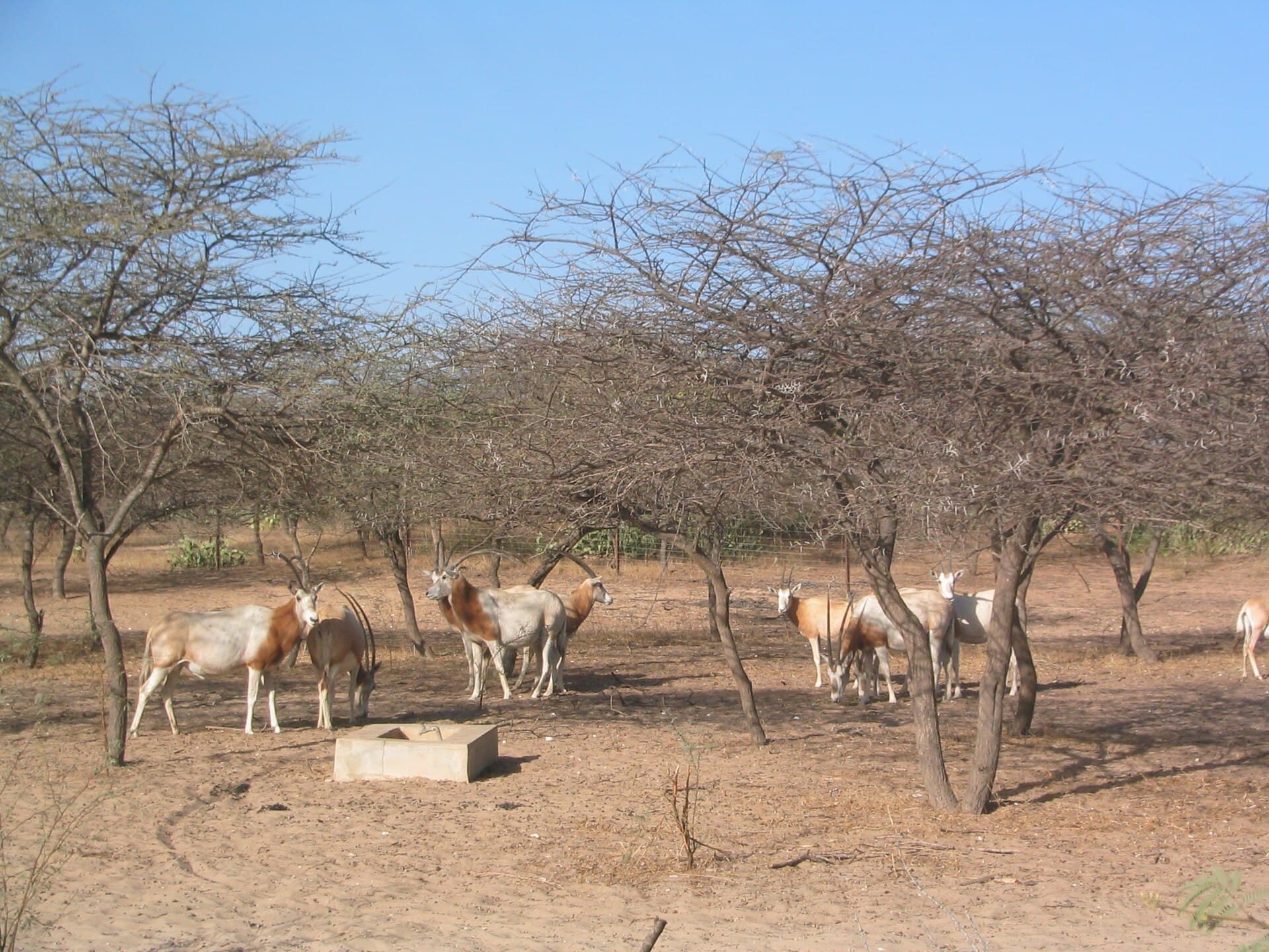Réserve spéciale de faune de Guembeul