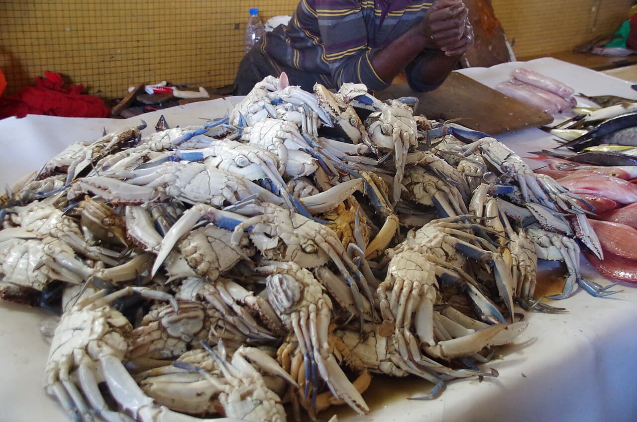 Crabes sur les étals