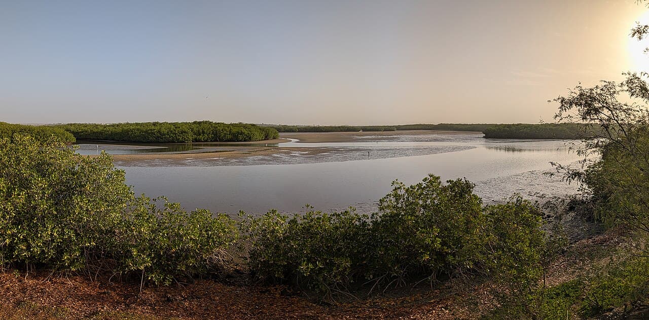 Pirogue sur la lagune de la Somone