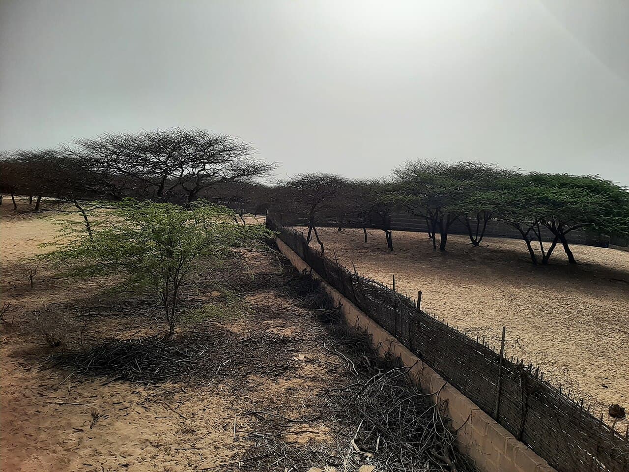 Réserve spéciale de faune de Guembeul