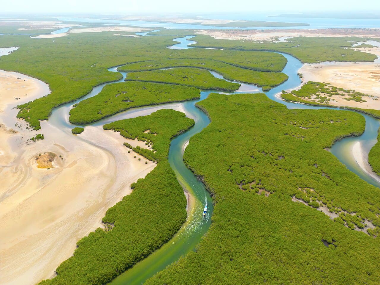 Delta du Sine-Saloum