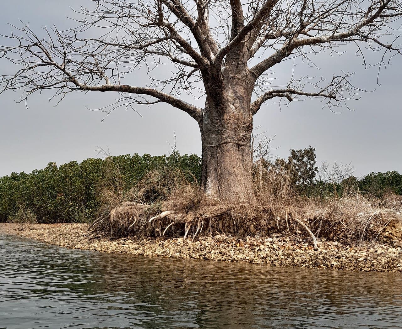 Salines et fleuve Saloum