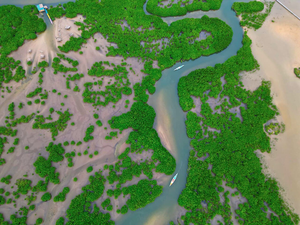 Delta du Sine-Saloum