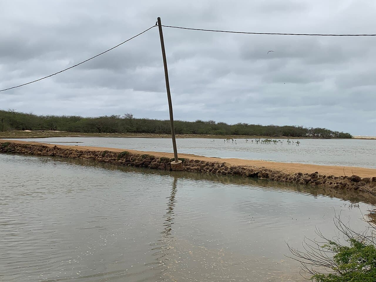 Langue de Barbarie en pirogue