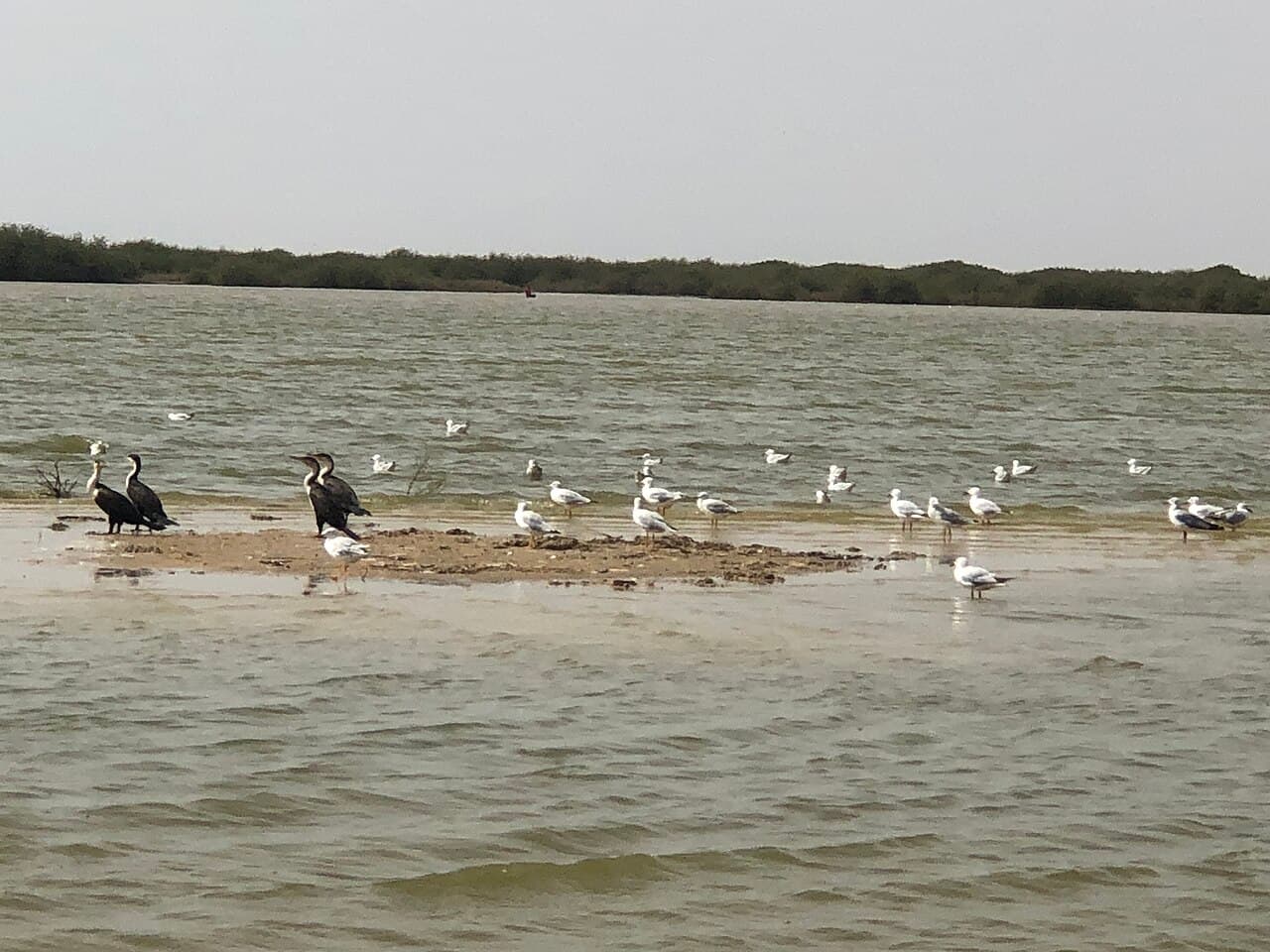 Gandiol et ses salines