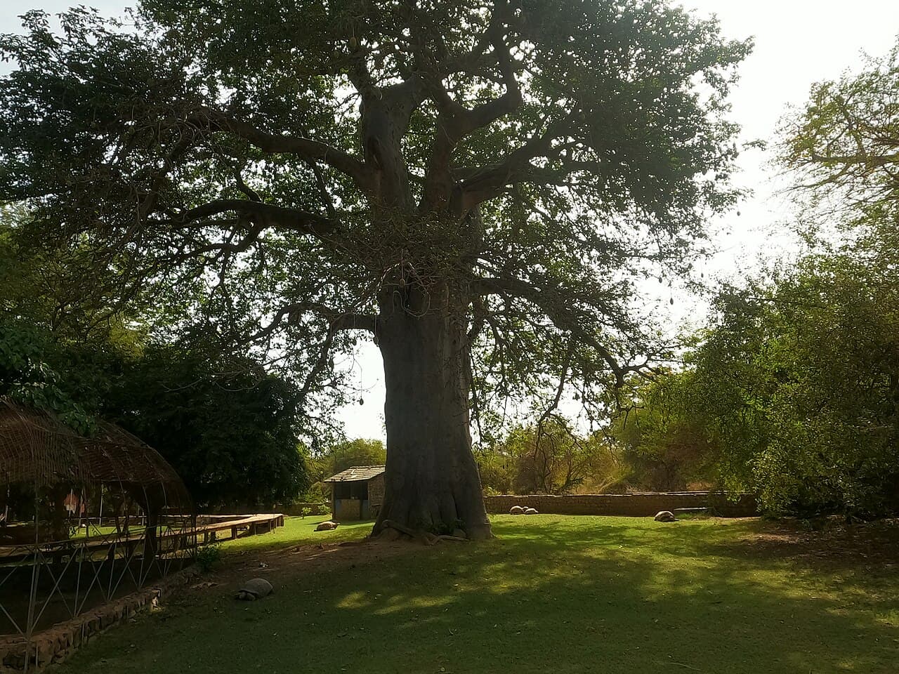 Réserve de Bandia