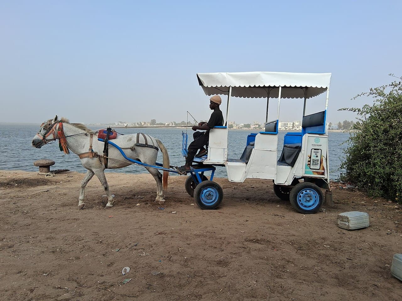 Tour de l’île en calèche