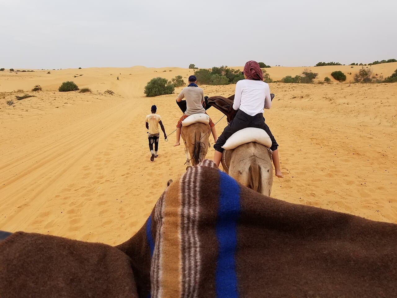 Excursion en véhicule