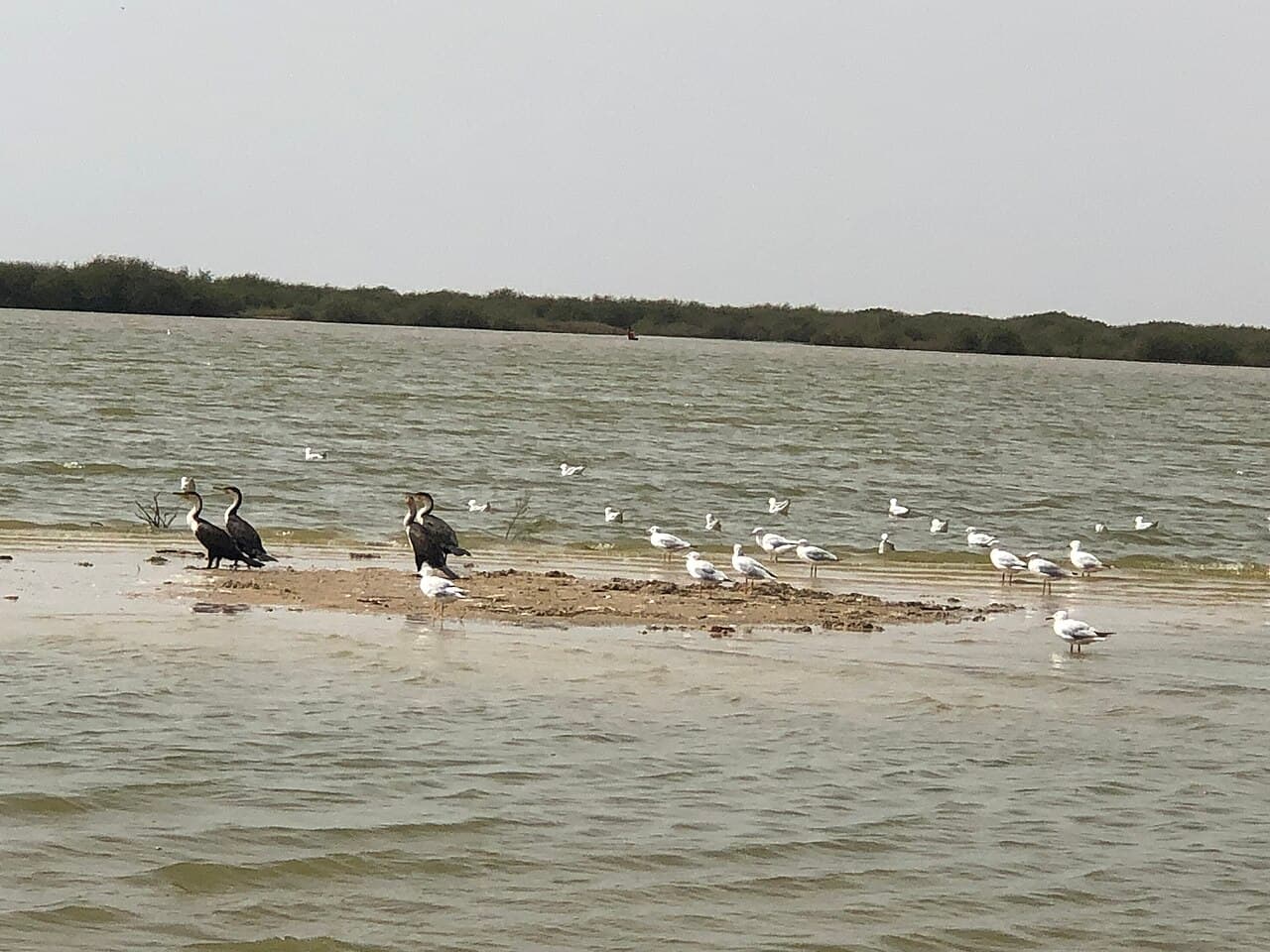 Gandiol et ses salines